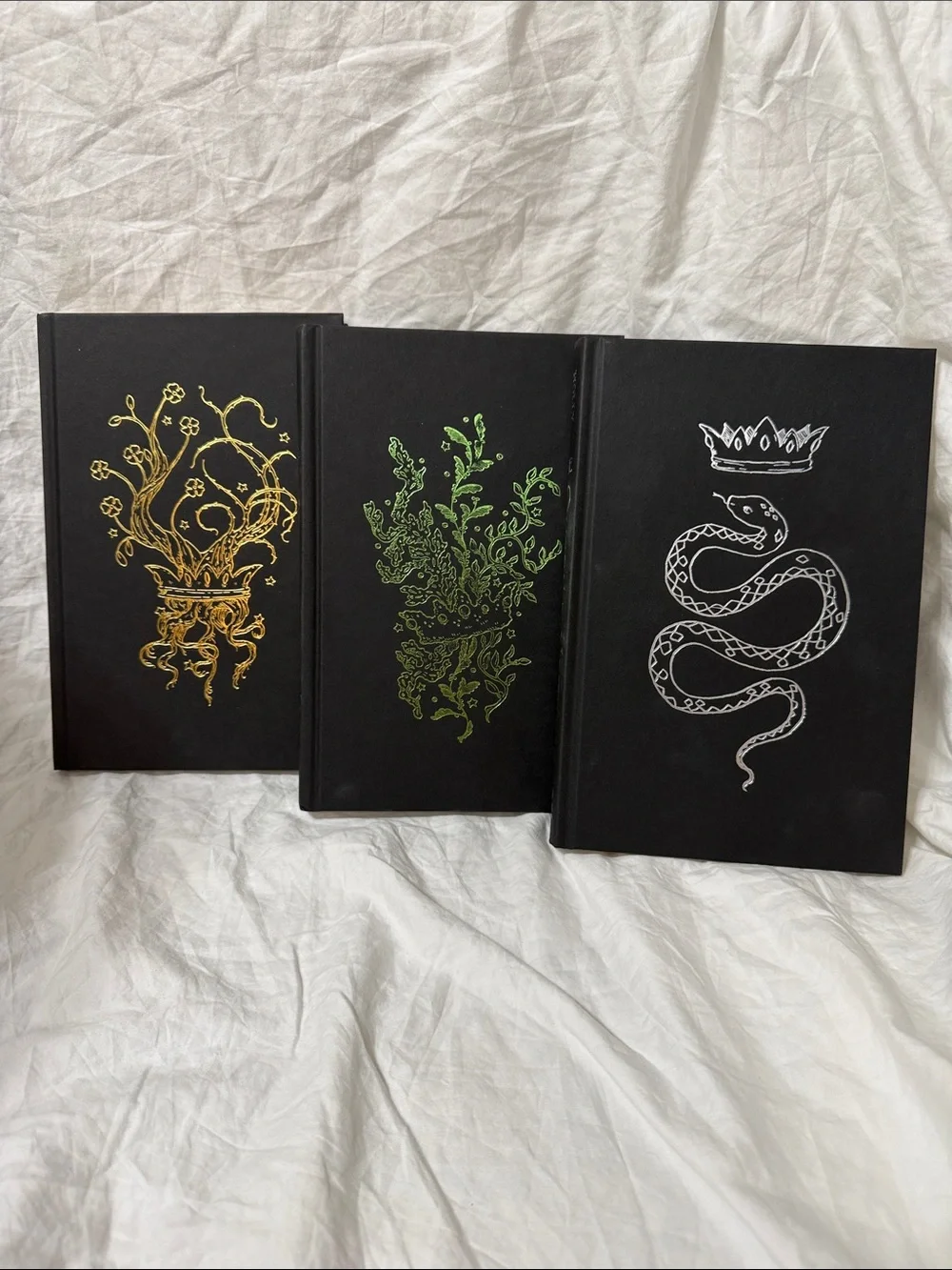 The Folk of the Air Trilogy: Cruel Prince, Wicked King, & Queen of Nothing